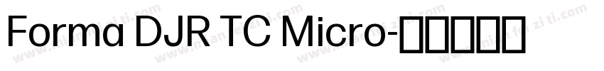 Forma DJR TC Micro字体转换